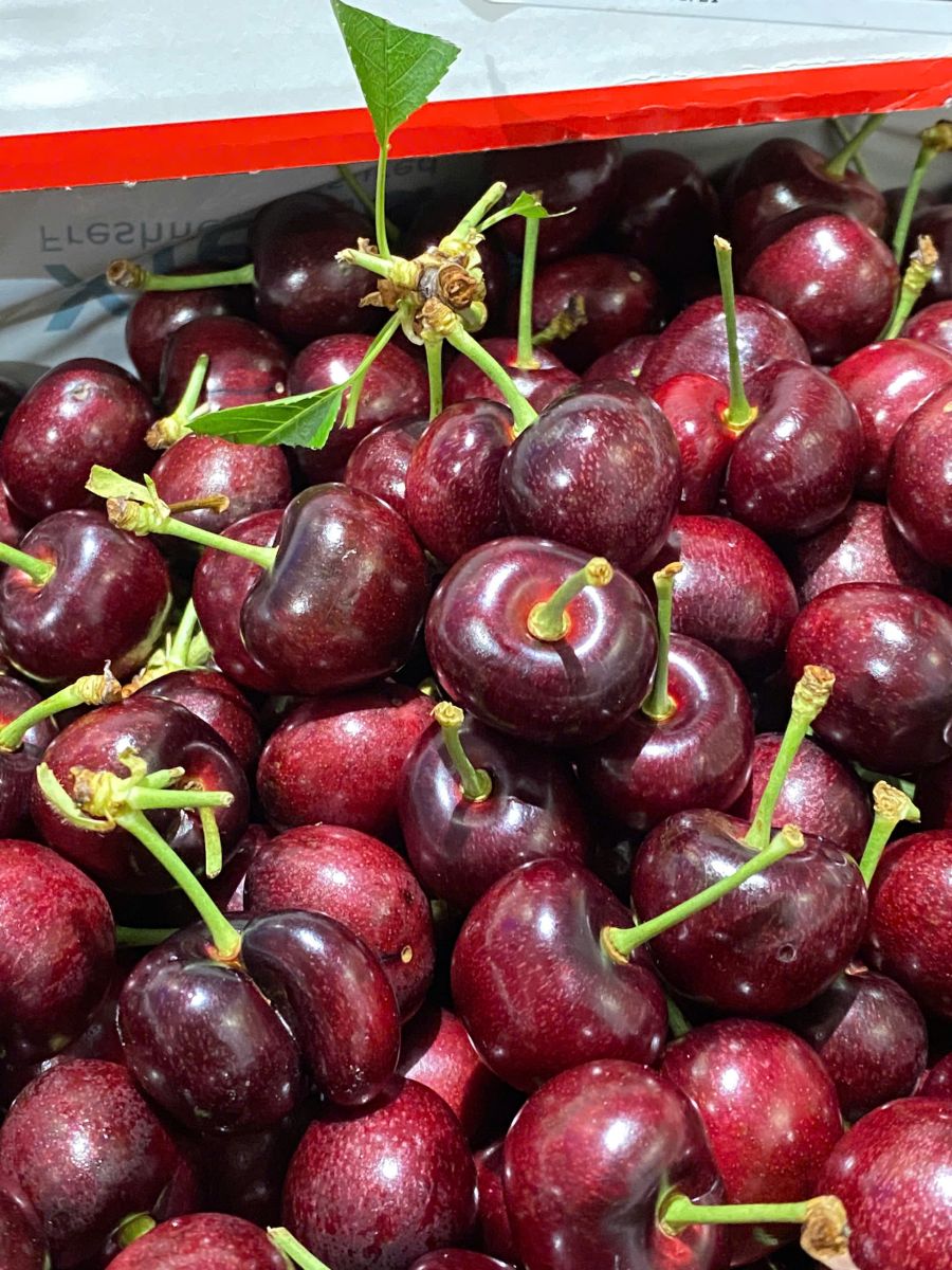 Cherry Mỹ đầu mùa